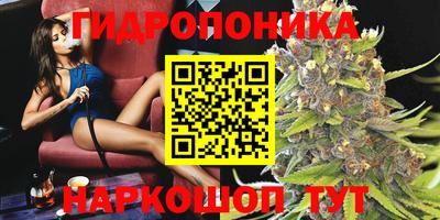 сатива Обь