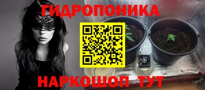 сатива Обь
