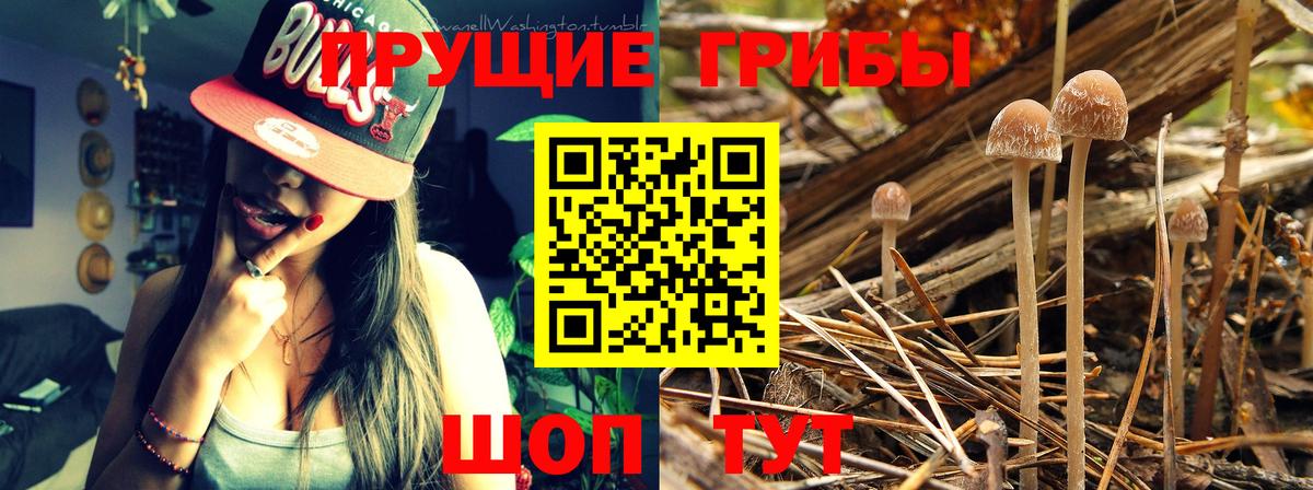 Галлюциногенные грибы GOLDEN TEACHER Пыть-Ях